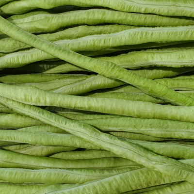 Haricots verts équeutés - la barquette de 500 g