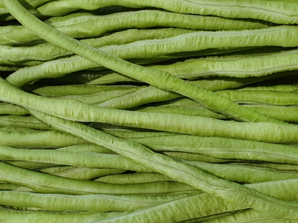 Haricots verts équeutés - la barquette de 500 g