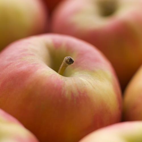 Fruits saison et exotique