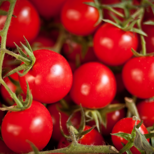 Tomates cerises - 250g