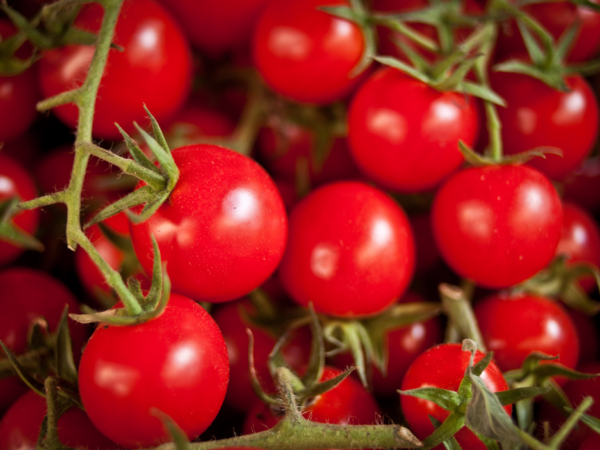 Tomates cerises - 100 g