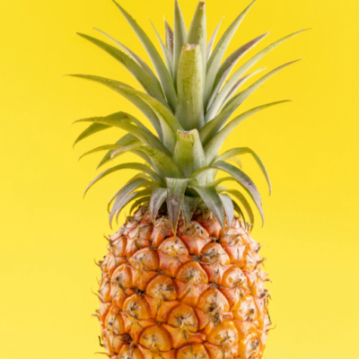 Ananas Avion - la pièce