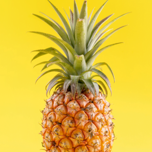 Ananas Avion - la pièce