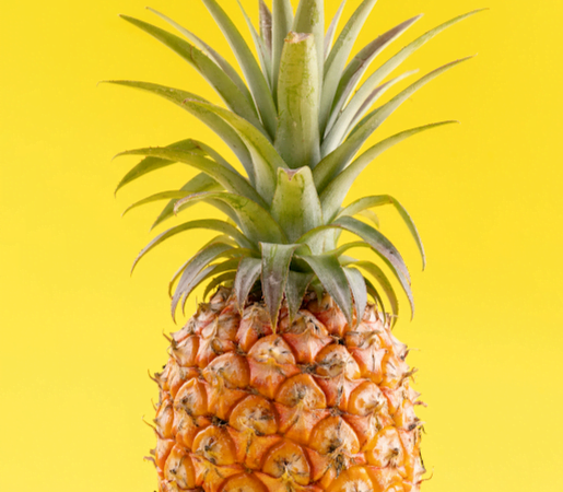 Ananas Avion - la pièce