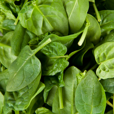 Pousses d'épinards - 250 g