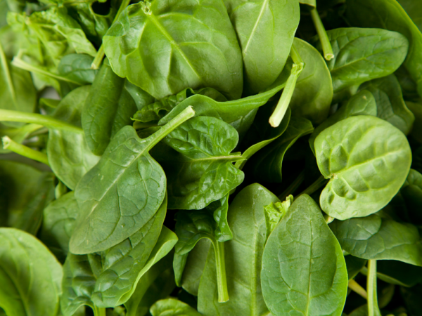 Pousses d'épinards - 250 g