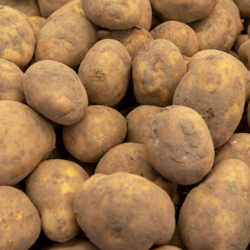 Pomme de terre spéciale Frite- 500 g