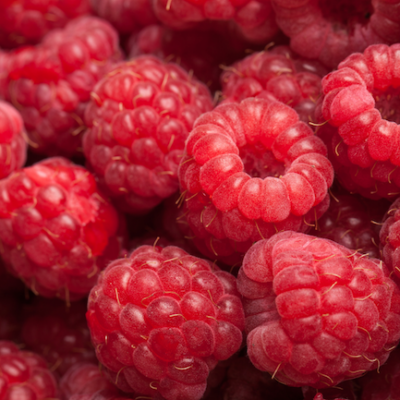 Framboises - La barquette de 125 g