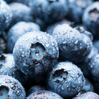 Myrtilles - La barquette de 125 g