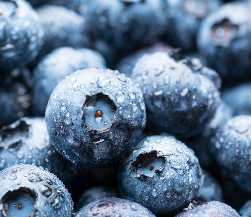 Myrtilles - La barquette de 125 g