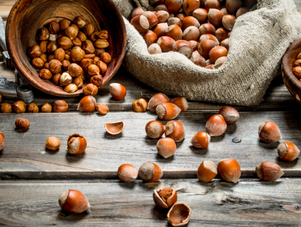 Noisettes décortiquées Bio - la barquette de 250 g