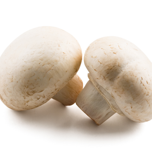 Champignon de Paris - 400 g