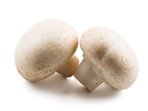 Champignon de Paris - 100 g