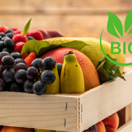 Fruits de saison bio 2 personnes